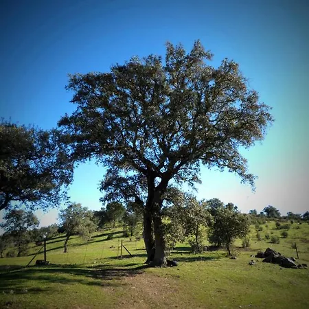 El Poleo Дом отдыха Villaviciosa de Cordoba